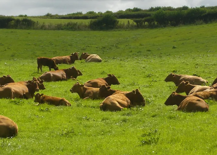 Whidlecombe Farm